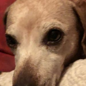 Meet your Posher, Chloe